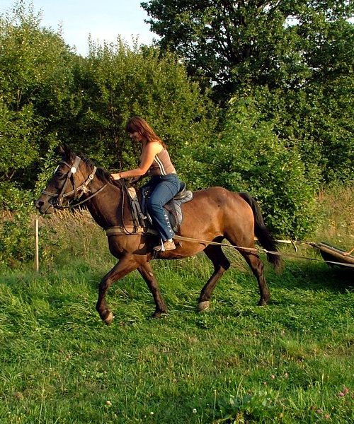 Skiring i skubing 01