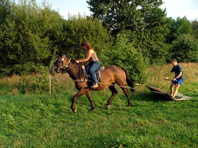 Skiring i skubing 01